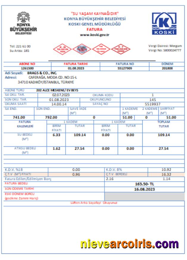 Turkey water utility business bill